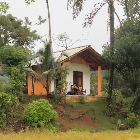Hotel Serene Sinharaja à Deniyaya Extérieur photo