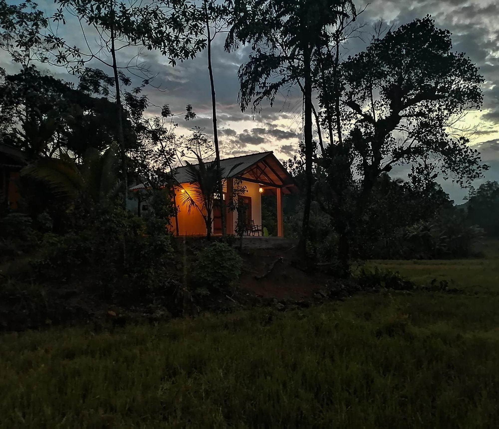 Hotel Serene Sinharaja à Deniyaya Extérieur photo