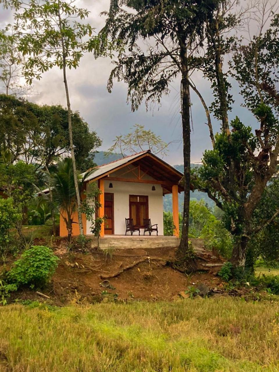 Hotel Serene Sinharaja à Deniyaya Extérieur photo