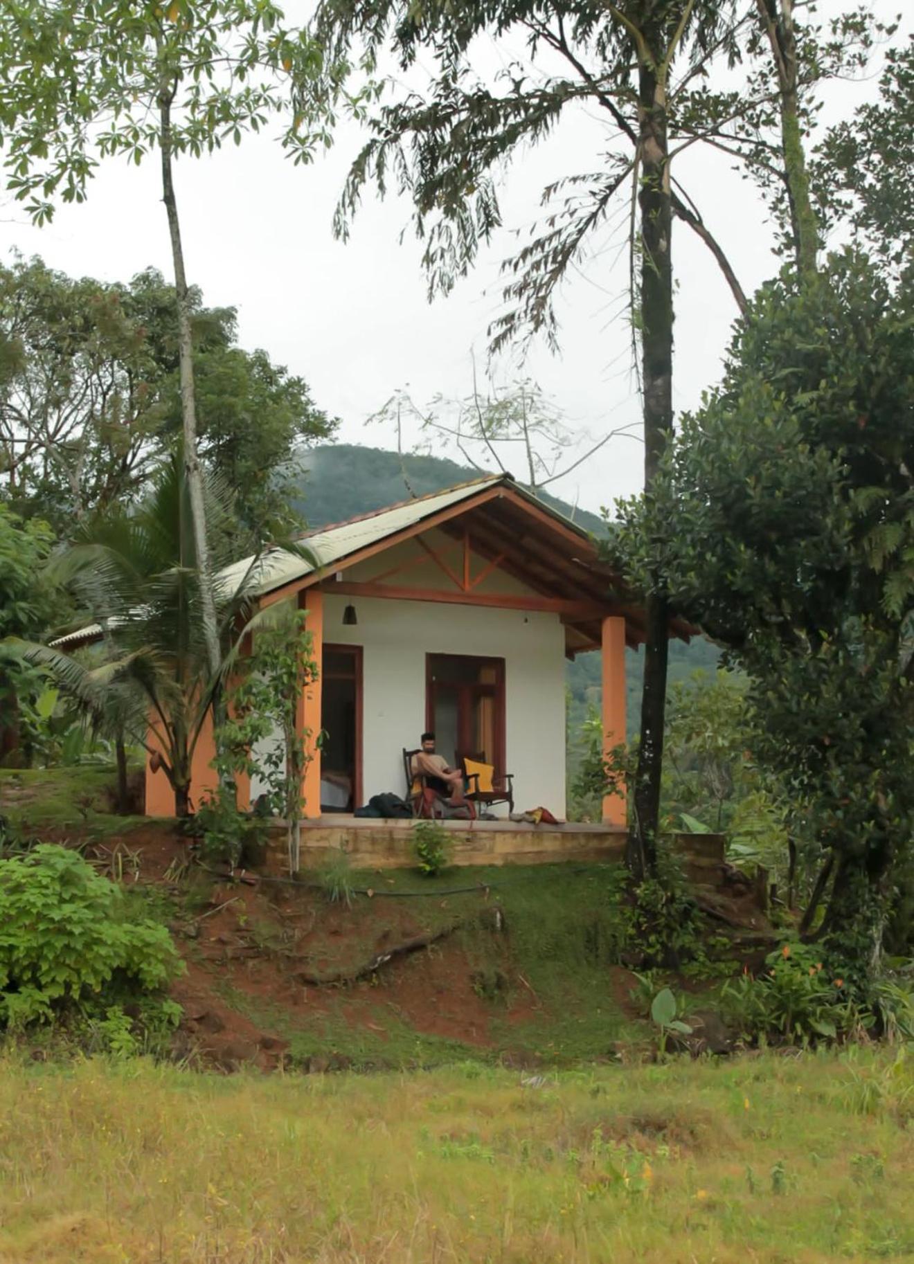 Hotel Serene Sinharaja à Deniyaya Extérieur photo