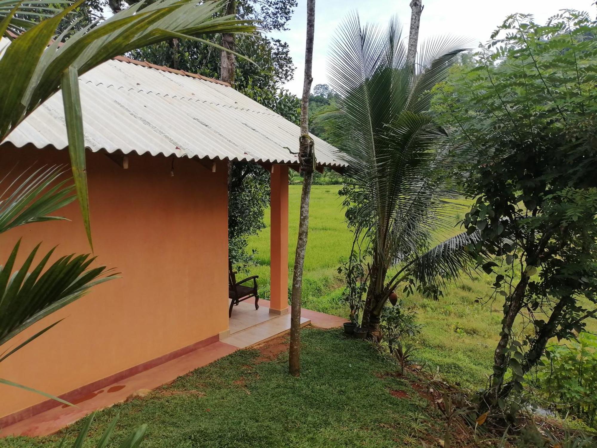 Hotel Serene Sinharaja à Deniyaya Chambre photo